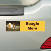 Autocollant De Voiture Adhésif pour pare-chocs de maman de beagle (En voiture)