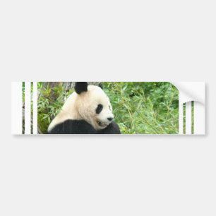 Autocollant De Voiture Adhésif pour pare-chocs de panda
