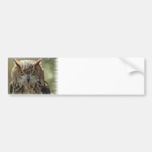 Autocollant De Voiture Adhésif pour pare-chocs de photo de hibou