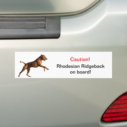 Autocollant De Voiture Adhésif pour pare-chocs de Rhodesian Ridgeback (En voiture)