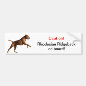 Autocollant De Voiture Adhésif pour pare-chocs de Rhodesian Ridgeback (Devant)