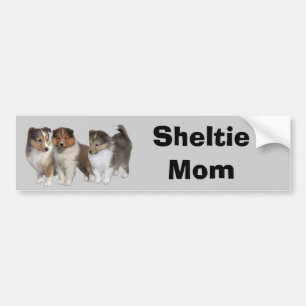 Autocollant De Voiture Adhésif pour pare-chocs de Sheltie