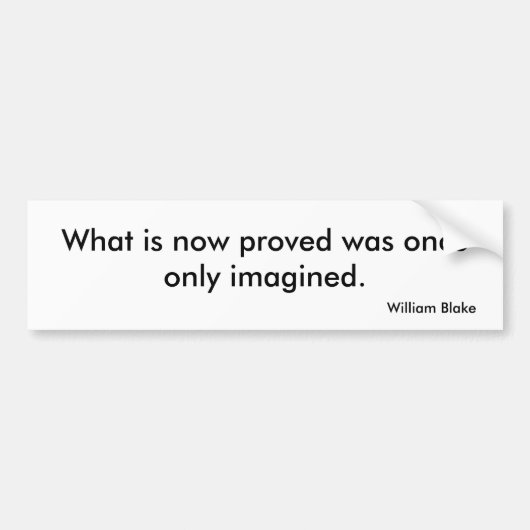 Autocollant De Voiture Adhésif pour pare-chocs de vision (Devant)