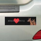 Autocollant De Voiture Adhésif pour pare-chocs de Xoloitzcuintle (En voiture)