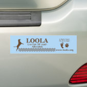 Autocollant De Voiture Adhésif pour pare-chocs : LOOLAorg (En voiture)