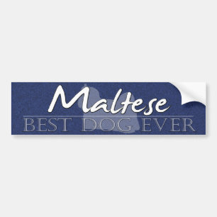 Autocollant De Voiture Adhésif pour pare-chocs maltais du meilleur chien
