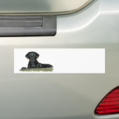 Autocollant De Voiture Adhésif pour pare-chocs noir de laboratoire (En voiture)