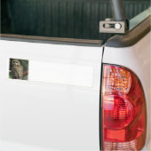 Autocollant De Voiture Adhésif pour pare-chocs repéré de hibou (Sur camion)