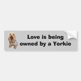 Autocollant De Voiture Adhésif pour pare-chocs tellement mignon de