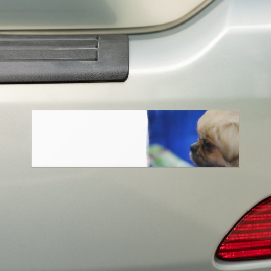 Autocollant De Voiture Adhésif pour pare-chocs tibétain mignon d'épagneul (En voiture)