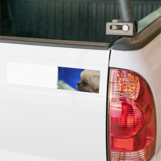 Autocollant De Voiture Adhésif pour pare-chocs tibétain mignon d'épagneul (Sur camion)