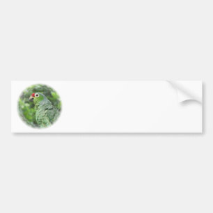 Autocollant De Voiture Adhésif pour pare-chocs vert de perroquet