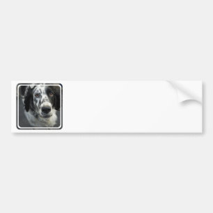 Autocollant De Voiture Adhésifs pour pare-chocs de chien de poseur