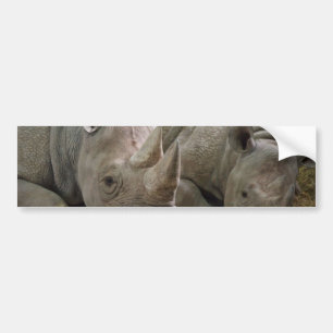 Autocollant De Voiture Adhésifs pour pare-chocs de sommeil de rhinocéro