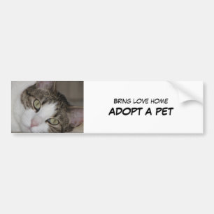Autocollant De Voiture Adoptez l'adhésif pour pare-chocs d'animal
