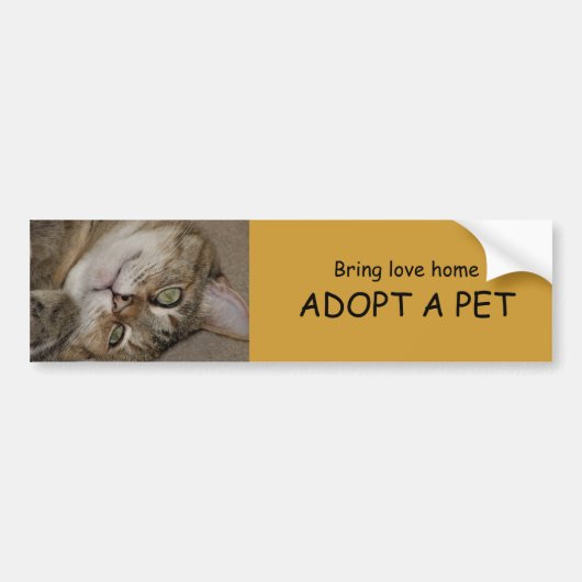 Autocollant De Voiture ADOPTEZ un adhésif pour pare-chocs 1 d'ANIMAL (Devant)