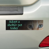 Autocollant De Voiture Adoptez un adhésif pour pare-chocs d'animal (En voiture)