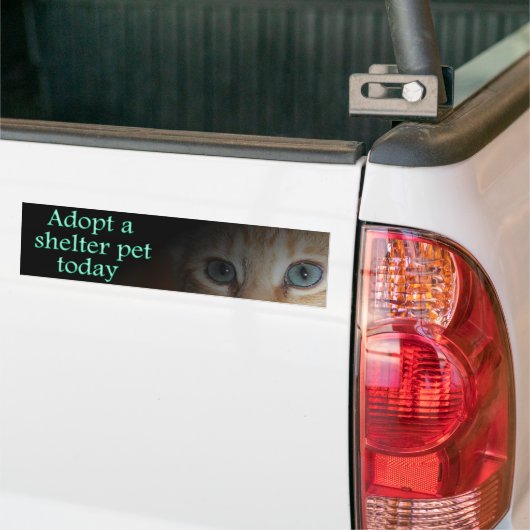 Autocollant De Voiture Adoptez un adhésif pour pare-chocs d'animal (Sur camion)