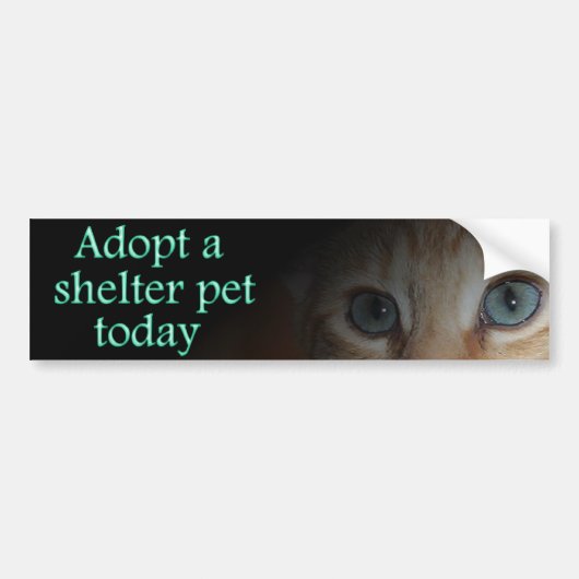 Autocollant De Voiture Adoptez un adhésif pour pare-chocs d'animal (Devant)