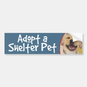 Autocollant De Voiture Adoptez un laboratoire de jaune d'animal familier