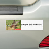 Autocollant De Voiture AF colibri Bumpersticker (En voiture)