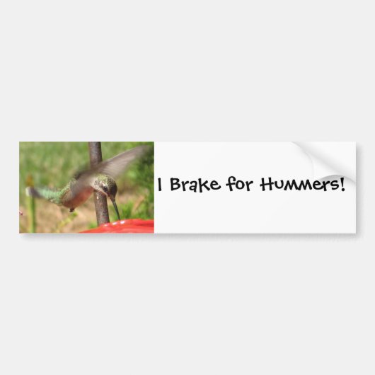 Autocollant De Voiture AF colibri Bumpersticker (Devant)