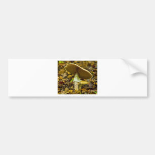 Autocollant De Voiture Agaric de mouche jaune-orange