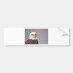 Autocollant De Voiture Aigle