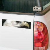 Autocollant De Voiture aigle américain (Sur camion)