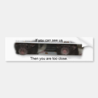 Autocollant De Voiture Alimentez-moi Rattie