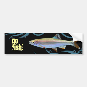 Autocollant De Voiture Allez le poisson ! Shiner Minnow