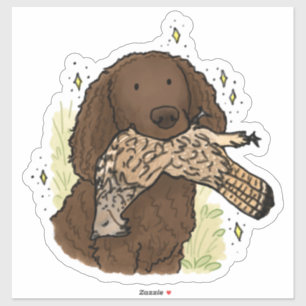 Autocollant de voiture American Water Spaniel
