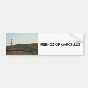 AUTOCOLLANT DE VOITURE AMIS DE MARCELLUS