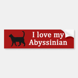 Autocollant De Voiture Amour abyssinien