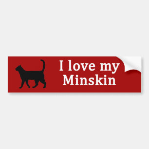 Autocollant De Voiture Amour Minskin