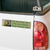 Autocollant De Voiture Amour vert de Conure de joue (Sur camion)