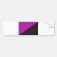 anarchist feminism flag purple black anarchy
