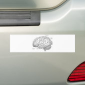 Autocollant De Voiture Anatomie vintage de cerveau (En voiture)