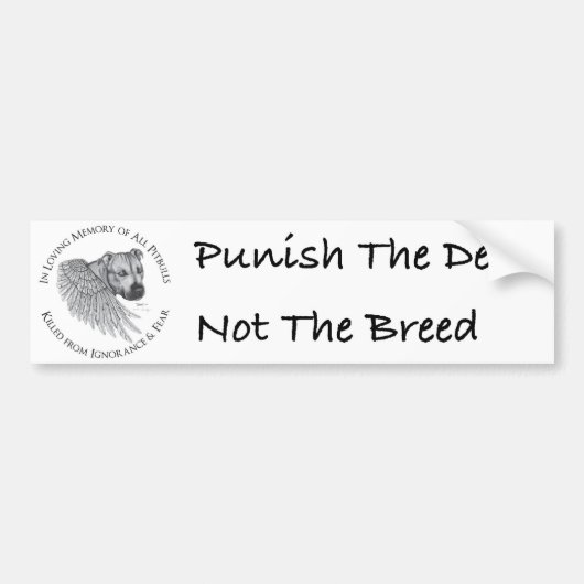 Autocollant De Voiture Ange de Zeus (Devant)