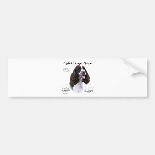 Autocollant De Voiture Anglais Springer Spaniel (foie) (Devant)