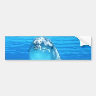 Autocollant De Voiture Animal marin de dauphin mignon en mer bleue