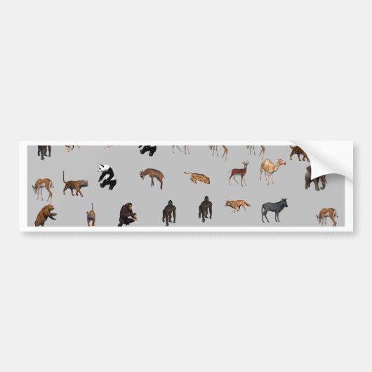 Autocollant De Voiture Animaux (Devant)