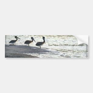 Autocollant De Voiture Animaux de faune d'oiseaux de pélican