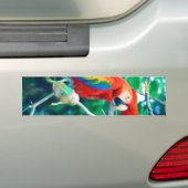 Autocollant De Voiture Ara coloré (En voiture)