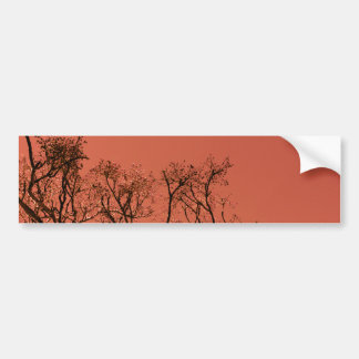 Autocollant De Voiture Arbre avec le ciel rouge