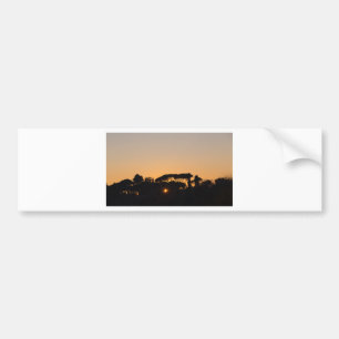 Autocollant De Voiture Arbres au coucher du soleil à contre-jour à Rome