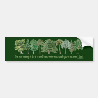 Autocollant De Voiture Arbres Plantes - Arbre, Gros