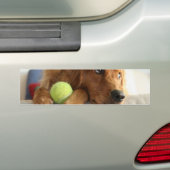 Autocollant De Voiture ASPCA-Chien (En voiture)