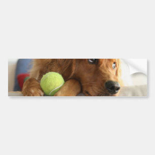 Autocollant De Voiture ASPCA-Chien