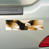 Autocollant De Voiture Atterrissage d'aigle à tête blanche (En voiture)